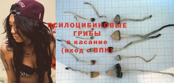 молекула духа Лихославль