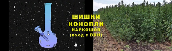 молекула духа Лихославль